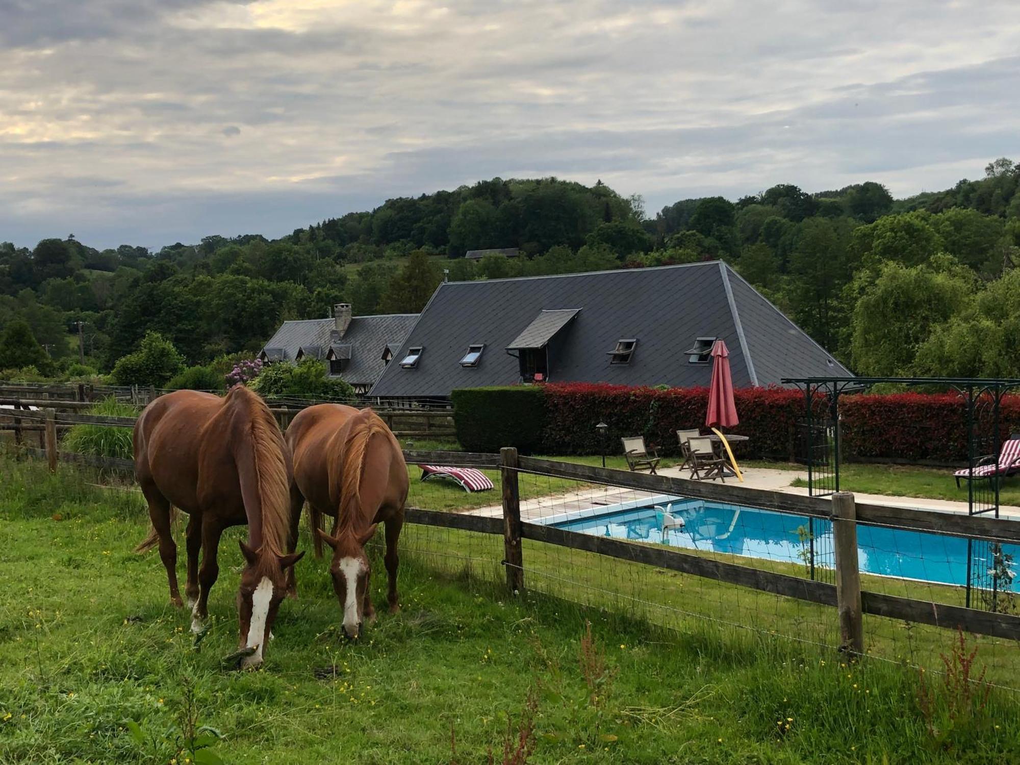 Bed and Breakfast Le Champ Des Possibles Manerbe Exterior foto